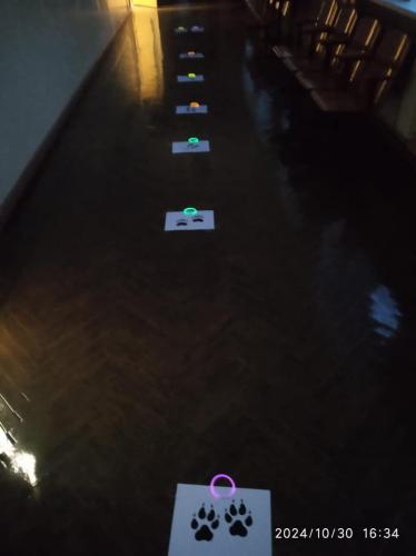 465464537_1097911429010158_2078140304775971023_n