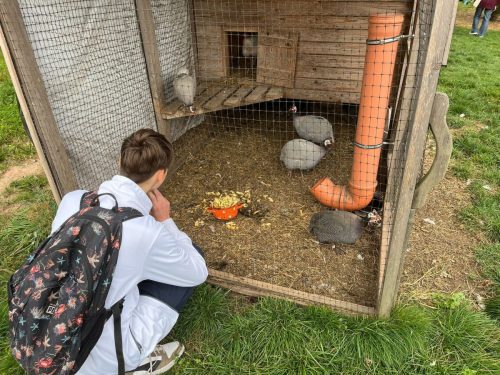 549162513_1364475732353725_7372464786828816633_n