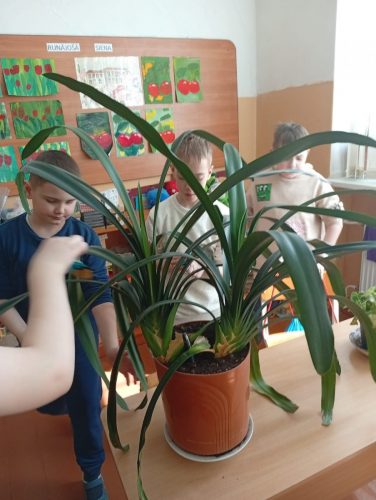 681258756_1562767749191188_6680693877333928726_n