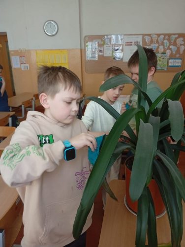 684155125_1562767649191198_4681305052249724728_n